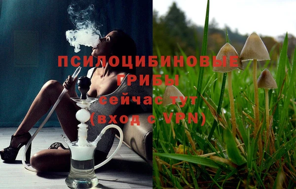 гидропоника Арсеньев