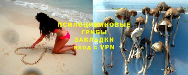 гидропоника Арсеньев